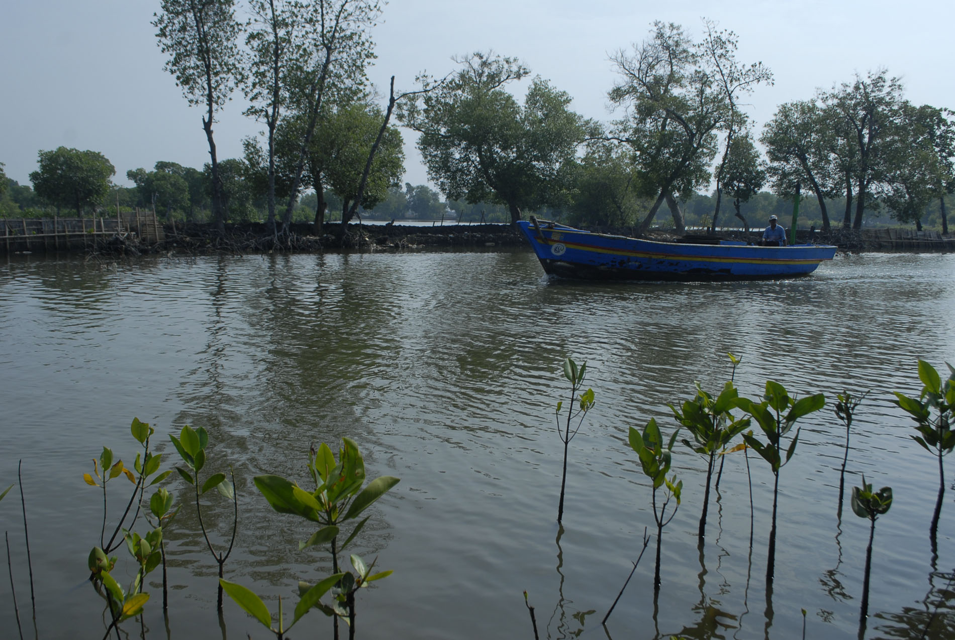 eKY-hutan bakao 1.JPG